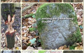 Eindrücke der Oktoberwanderung entlang der Markungsgrenze (Teil 1)